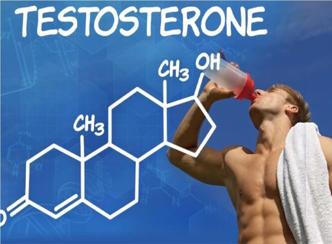 تستوسترون چیست و چه کارکردی دارد؟